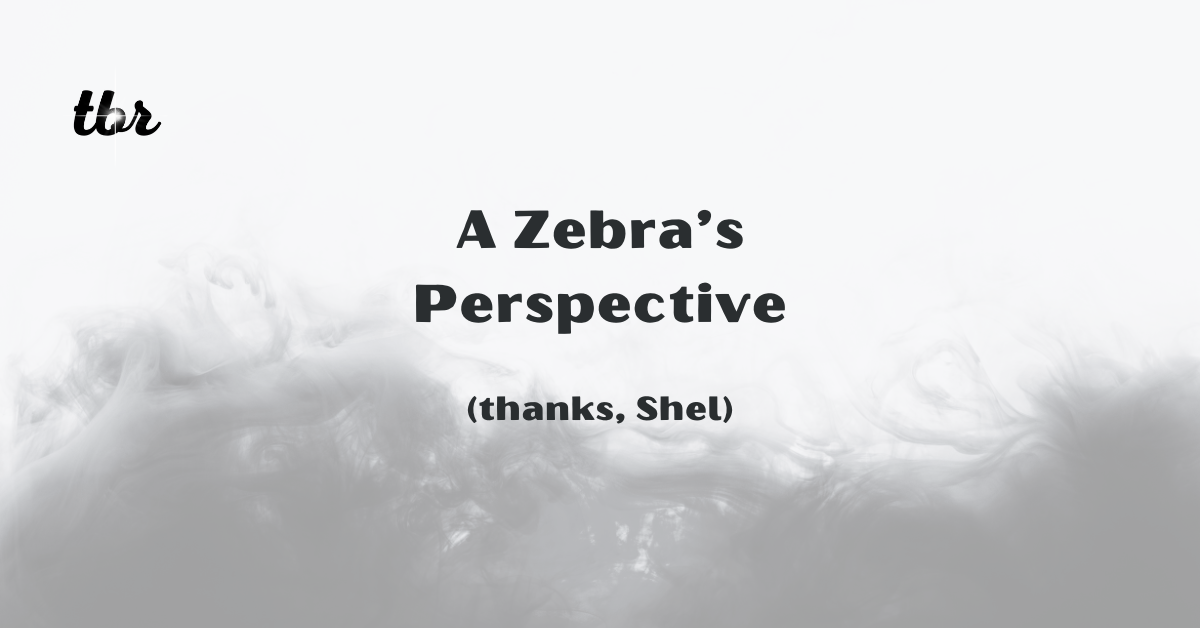 🔋 A Zebra's Perspective