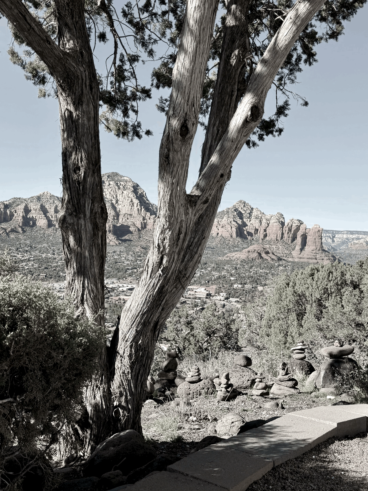 ⛔ Life is Temporary