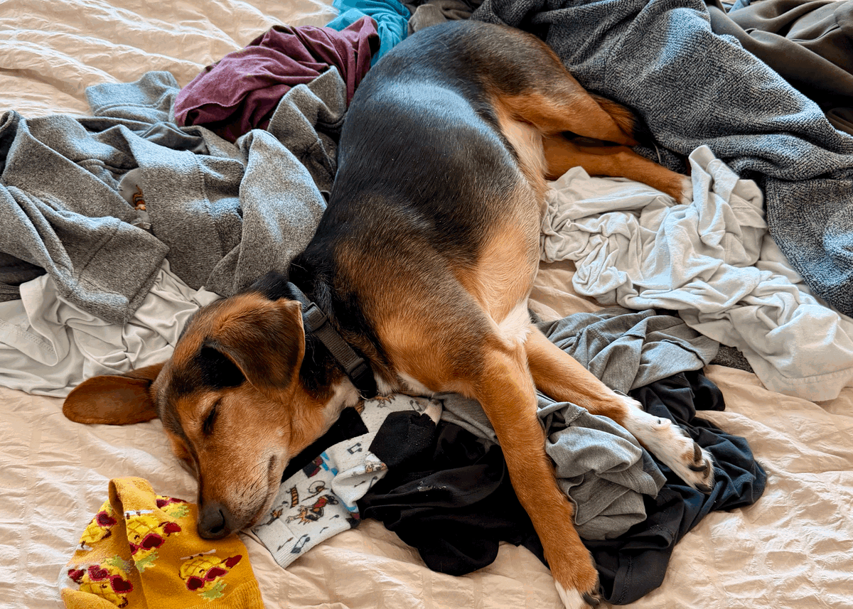 🎉 A Moment, a Celebration